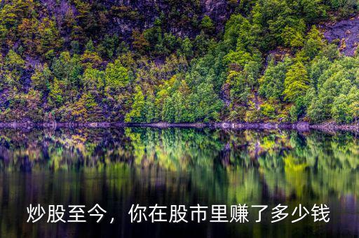 炒股至今，你在股市里賺了多少錢