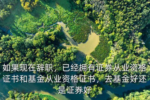 如果現(xiàn)在辭職，已經(jīng)擁有證券從業(yè)資格證書和基金從業(yè)資格證書，去基金好還是證券好