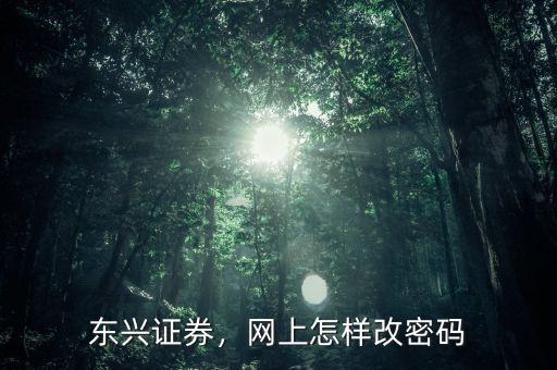 東興證券，網(wǎng)上怎樣改密碼