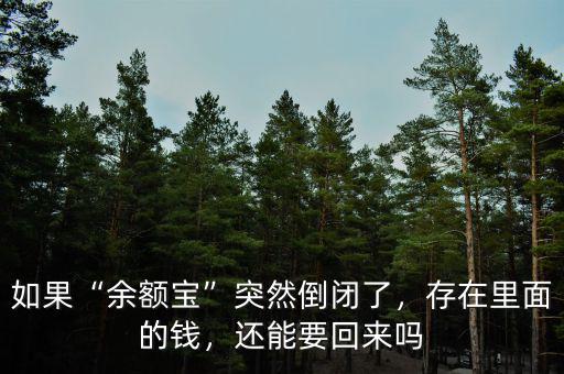 如果“余額寶”突然倒閉了，存在里面的錢，還能要回來嗎