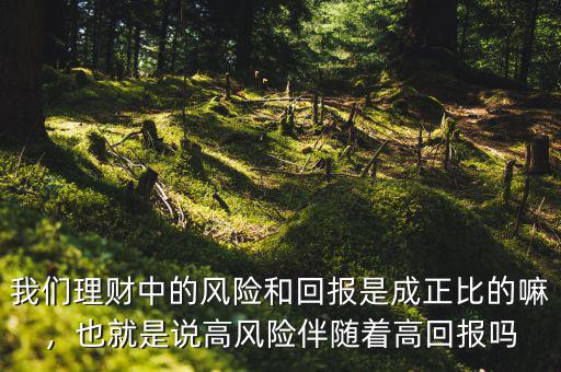 我們理財中的風險和回報是成正比的嘛，也就是說高風險伴隨著高回報嗎