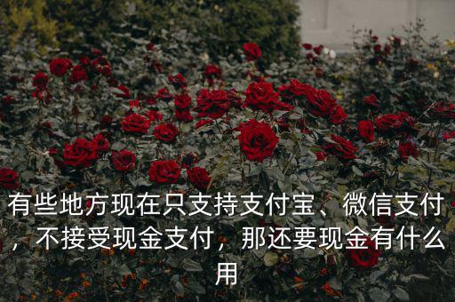 有些地方現(xiàn)在只支持支付寶、微信支付，不接受現(xiàn)金支付，那還要現(xiàn)金有什么用