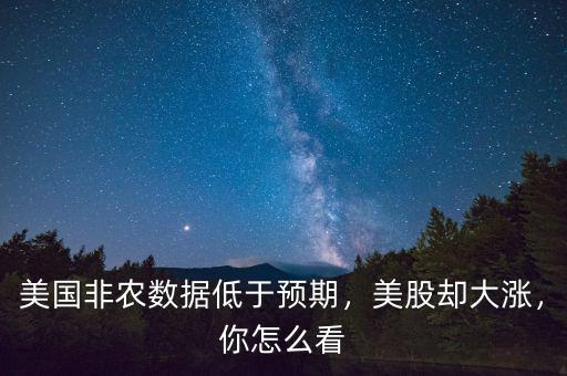 美國非農數(shù)據(jù)怎么看,美國三月非農數(shù)據(jù)公布后