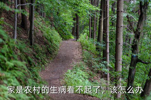 家是農(nóng)村的生病看不起了，該怎么辦