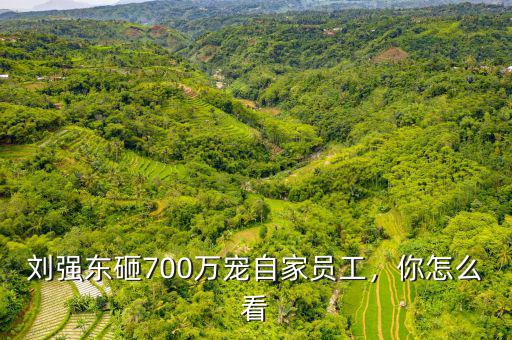 劉強(qiáng)東砸700萬寵自家員工，你怎么看