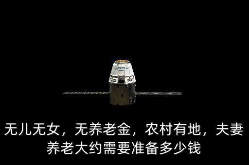 無(wú)兒無(wú)女，無(wú)養(yǎng)老金，農(nóng)村有地，夫妻養(yǎng)老大約需要準(zhǔn)備多少錢