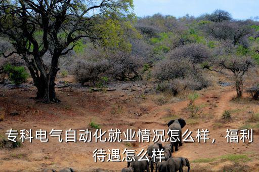 ?？齐姎庾詣踊蜆I(yè)情況怎么樣，福利待遇怎么樣