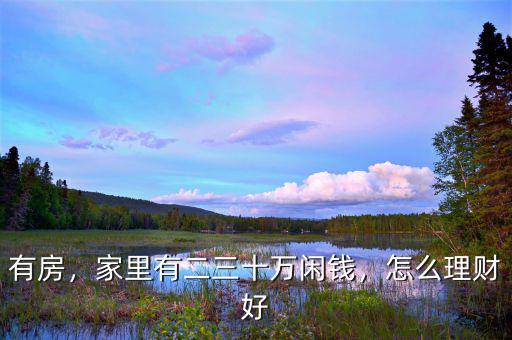 有房，家里有二三十萬閑錢，怎么理財好
