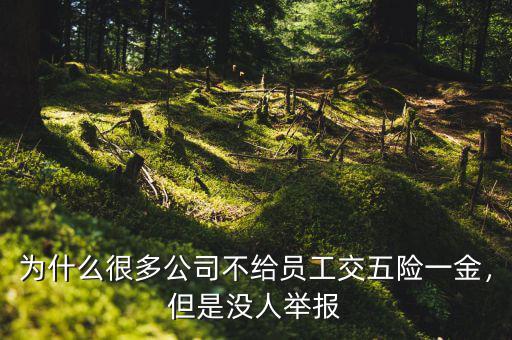 為什么很多公司不給員工交五險(xiǎn)一金，但是沒人舉報(bào)