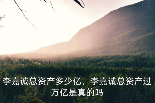 李嘉誠總資產多少億，李嘉誠總資產過萬億是真的嗎