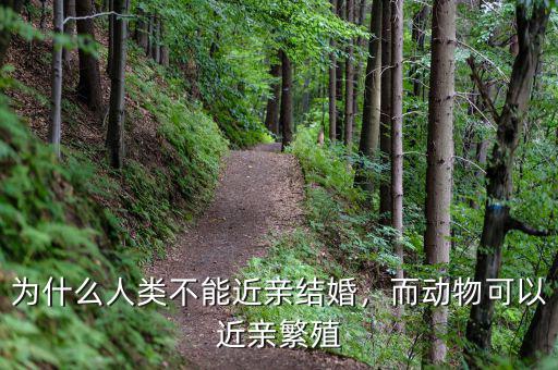 為什么人類不能近親結(jié)婚，而動(dòng)物可以近親繁殖