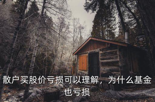 散戶買股價(jià)虧損可以理解，為什么基金也虧損