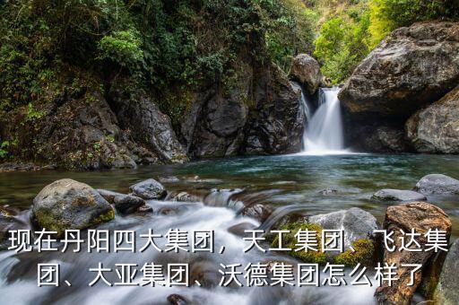現(xiàn)在丹陽四大集團(tuán)，天工集團(tuán)、飛達(dá)集團(tuán)、大亞集團(tuán)、沃德集團(tuán)怎么樣了