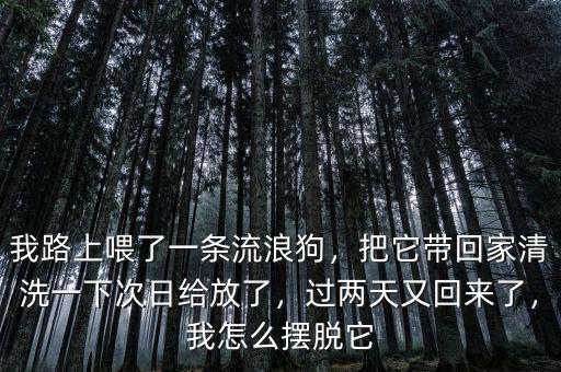 我路上喂了一條流浪狗，把它帶回家清洗一下次日給放了，過兩天又回來了，我怎么擺脫它