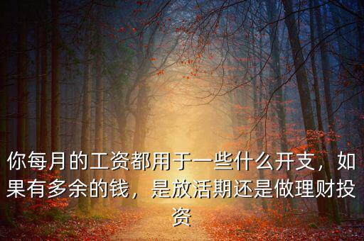 你每月的工資都用于一些什么開支，如果有多余的錢，是放活期還是做理財投資