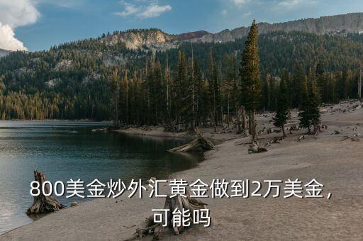 800美金炒外匯黃金做到2萬(wàn)美金，可能嗎