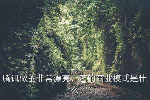 騰訊做的非常漂亮，它的商業(yè)模式是什么