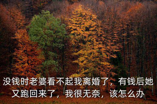 沒錢時(shí)老婆看不起我離婚了，有錢后她又跑回來了，我很無奈，該怎么辦