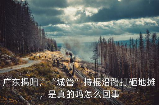 廣東揭陽，“城管”持棍沿路打砸地?cái)?，是真的嗎怎么回? class=
