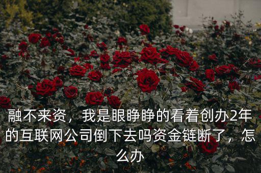 融不來資，我是眼睜睜的看著創(chuàng)辦2年的互聯(lián)網(wǎng)公司倒下去嗎資金鏈斷了，怎么辦