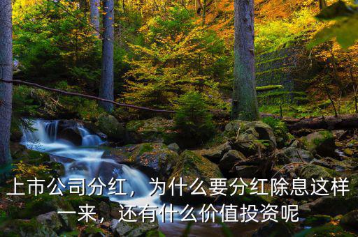 上市公司分紅，為什么要分紅除息這樣一來，還有什么價值投資呢