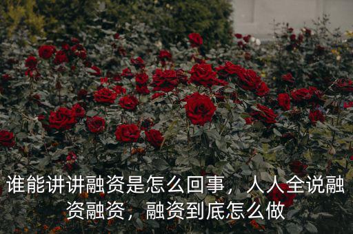 誰能講講融資是怎么回事，人人全說融資融資，融資到底怎么做
