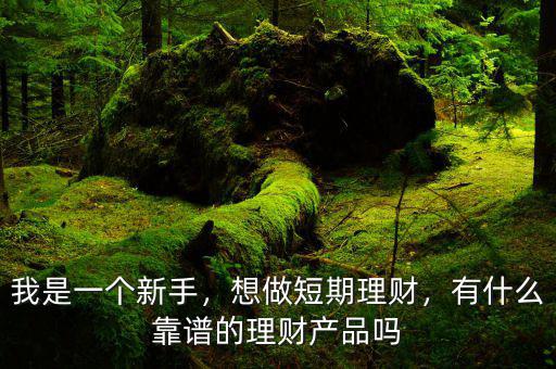 我是一個新手，想做短期理財，有什么靠譜的理財產(chǎn)品嗎