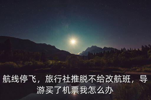 航線停飛，旅行社推脫不給改航班，導(dǎo)游買(mǎi)了機(jī)票我怎么辦