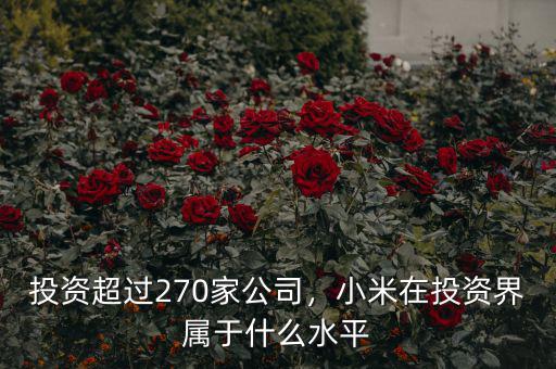 投資超過270家公司，小米在投資界屬于什么水平