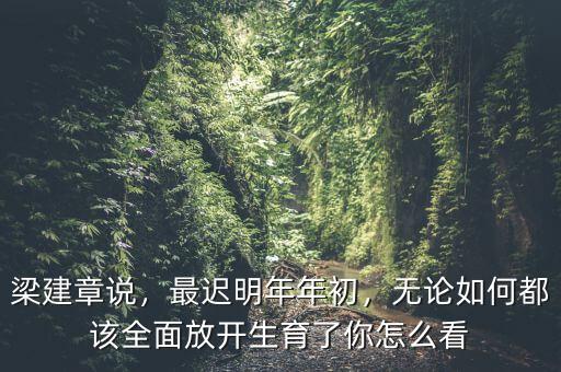 梁建章說，最遲明年年初，無論如何都該全面放開生育了你怎么看