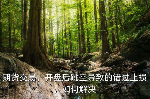 期貨交易，開盤后跳空導(dǎo)致的錯(cuò)過止損，如何解決