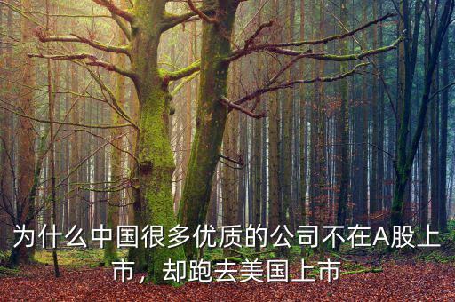 為什么中國很多優(yōu)質的公司不在A股上市，卻跑去美國上市