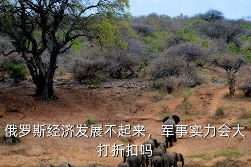 俄羅斯經(jīng)濟(jì)發(fā)展不起來，軍事實(shí)力會大打折扣嗎