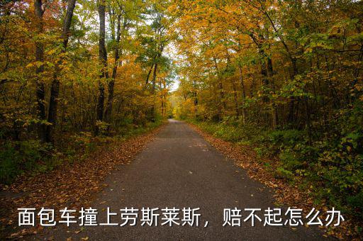 面包車撞上勞斯萊斯，賠不起怎么辦