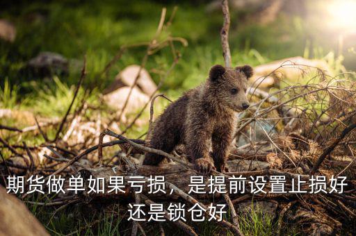 期貨做單如果虧損，是提前設(shè)置止損好還是鎖倉好