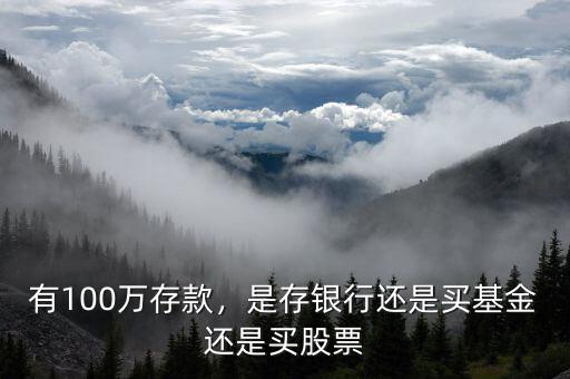 有100萬存款，是存銀行還是買基金還是買股票