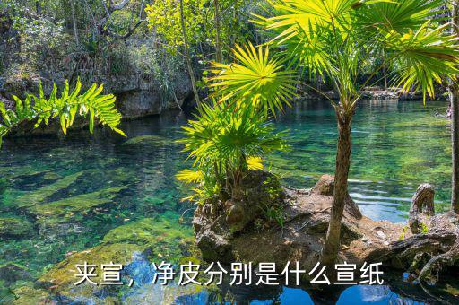 夾宣，凈皮分別是什么宣紙