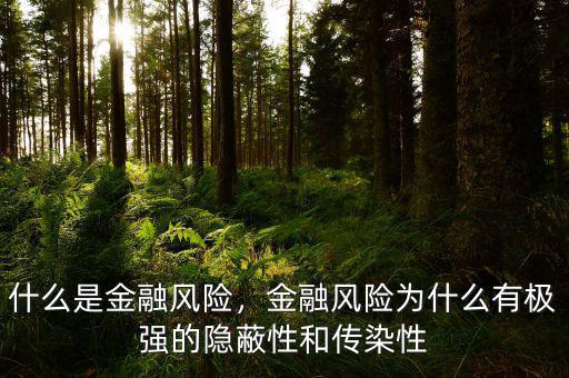 什么是金融風(fēng)險(xiǎn)，金融風(fēng)險(xiǎn)為什么有極強(qiáng)的隱蔽性和傳染性