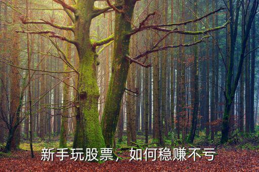 怎么玩股票才能賺錢(qián),怎么才能賺錢(qián)
