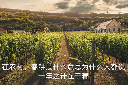 在農(nóng)村，春耕是什么意思為什么人都說一年之計在于春