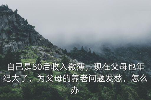 自己是80后收入微薄，現(xiàn)在父母也年紀(jì)大了，為父母的養(yǎng)老問(wèn)題發(fā)愁，怎么辦
