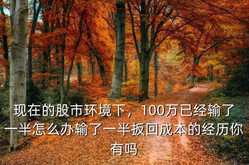 現(xiàn)在的股市環(huán)境下，100萬已經(jīng)輸了一半怎么辦輸了一半扳回成本的經(jīng)歷你有嗎
