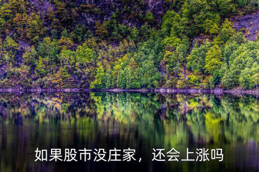 如果股市沒(méi)莊家，還會(huì)上漲嗎