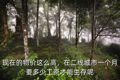 二線(xiàn)城市工資一般多少,工資水平如何