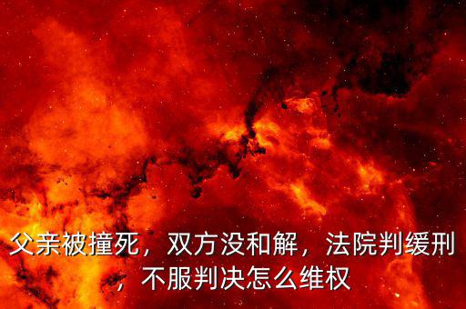 父親被撞死，雙方?jīng)]和解，法院判緩刑，不服判決怎么維權(quán)
