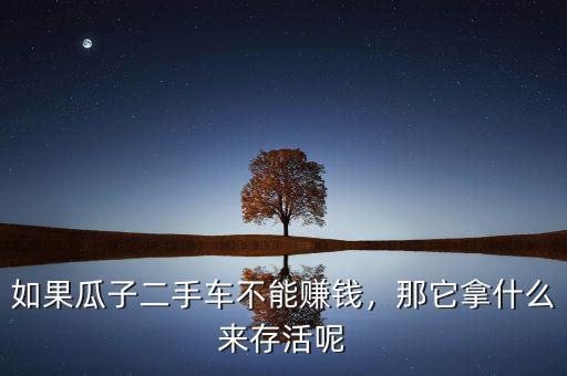 如果瓜子二手車不能賺錢，那它拿什么來存活呢