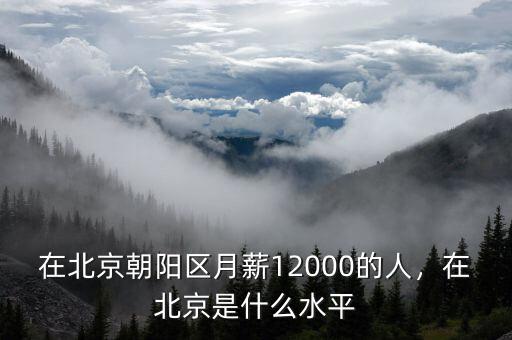 在北京朝陽區(qū)月薪12000的人，在北京是什么水平