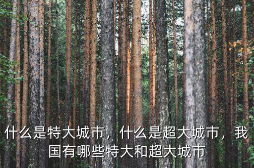 什么是特大城市，什么是超大城市，我國有哪些特大和超大城市