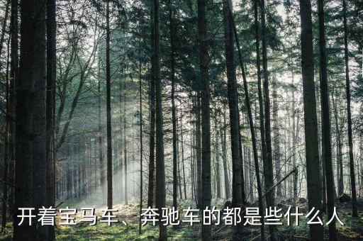 開(kāi)著寶馬車(chē)、奔馳車(chē)的都是些什么人