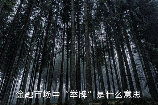金融市場(chǎng)中“舉牌”是什么意思